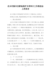 在乡村振兴及耕地保护专项审计工作推进会上的发言