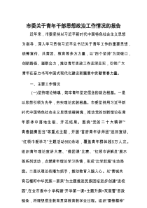 青年干部思想政治工作情况报告（市委）