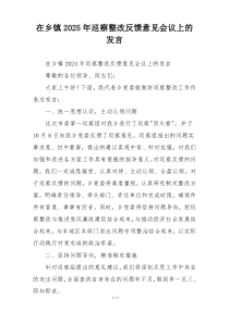 在乡镇2025年巡察整改反馈意见会议上的发言