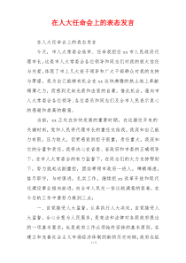 在人大任命会上的表态发言