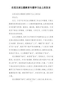 在党支部主题教育专题学习会上的发言