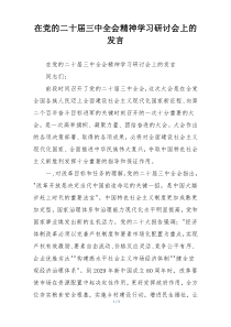 在党的二十届三中全会精神学习研讨会上的发言