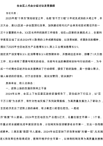 在全区人代会分组讨论发言提纲