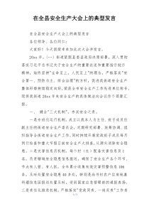 在全县安全生产大会上的典型发言