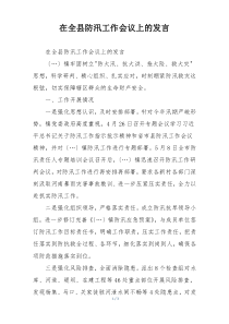 在全县防汛工作会议上的发言