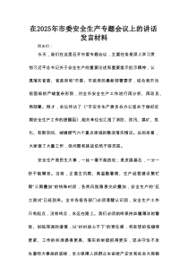 在2025年市委安全生产专题会议上的讲话发言材料