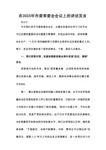 在2025年市委常委会会议上的讲话发言