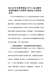 在2025年市委常委会（扩大）会议暨市委党的建设工作领导小组会议上的讲话发言