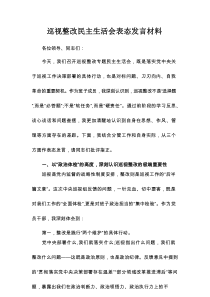 巡视整改民主生活会表态发言材料