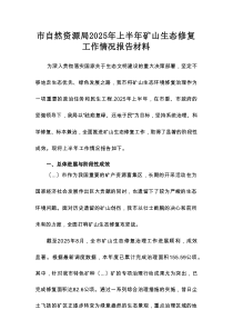 市自然资源局2025年上半年矿山生态修复工作情况报告材料