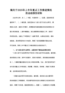 镇关于2025年上半年重点工作推进情况的总结报告材料