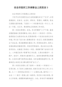 在全市驻村工作表彰会上的发言3