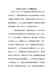 2025年上半年个人工作情况总结