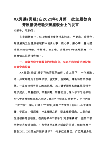 XX党委（党组）在202x年8月第一批主题教育开展情况经验交流座谈会上的发言