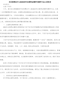在区委理论中心组2025年全国两会精神专题学习会上的发言
