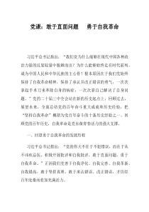 党课敢于直面问题勇于自我革命