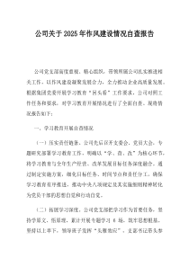 公司关于2025年作风建设情况自查报告