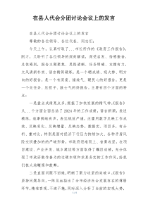 在县人代会分团讨论会议上的发言