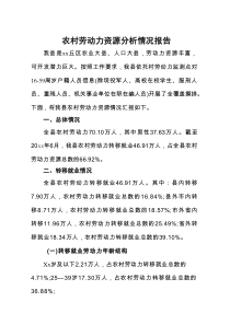 农村劳动力资源分析情况报告