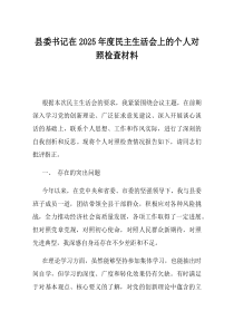 县委书记在2025年度民主生活会上的个人对照检查材料