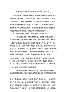 县税务局2025年上半年全面从严治党工作汇报