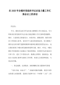 在2025年全镇村党组织书记后备力量工作汇报会议上的讲话