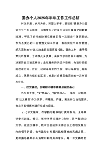 委办个人2025年半年工作工作总结