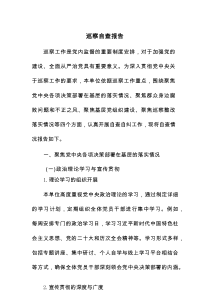 巡察自查报告