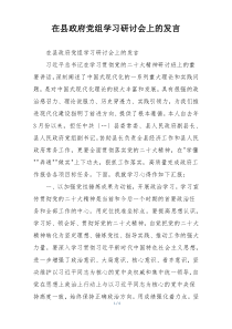 在县政府党组学习研讨会上的发言