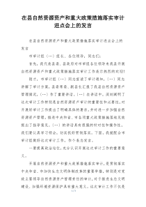 在县自然资源资产和重大政策措施落实审计进点会上的发言
