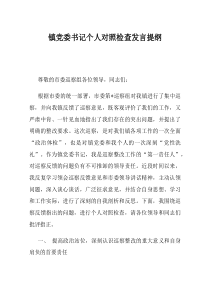镇党委书记个人对照检查发言提纲