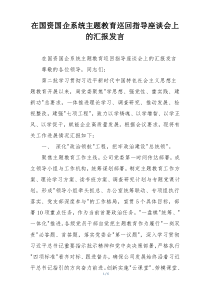 在国资国企系统主题教育巡回指导座谈会上的汇报发言