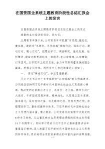 在国资国企系统主题教育阶段性总结汇报会上的发言