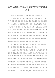 在学习贯彻二十届三中全会精神研讨会上的发言