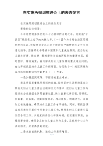 在实施两规划推进会上的表态发言