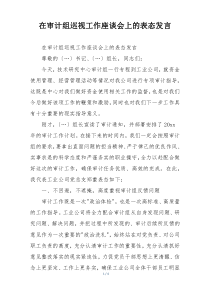 在审计组巡视工作座谈会上的表态发言