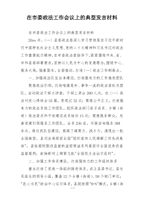 在市委政法工作会议上的典型发言材料