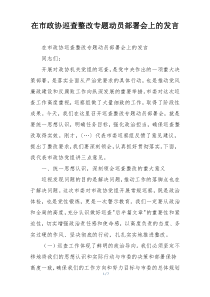 在市政协巡查整改专题动员部署会上的发言