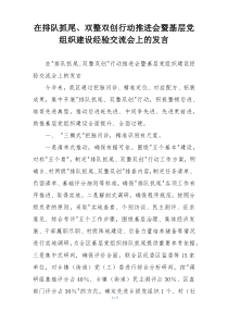 在排队抓尾、双整双创行动推进会暨基层党组织建设经验交流会上的发言