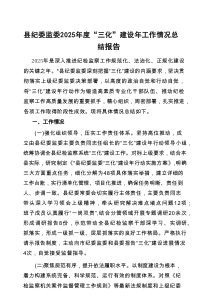 2025年“三化”建设年工作情况总结报告（县纪委监委）