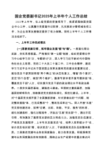 2025年上半年个人工作总结（国企党委副书记）
