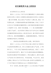 在支部党员大会上的发言