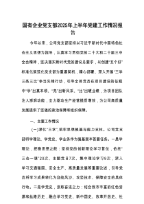 2025年上半年党建工作情况报告（国有企业党支部）