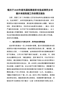 2025年巩固拓展脱贫攻坚成果同乡村振兴有效衔接工作情况报告（乡镇）