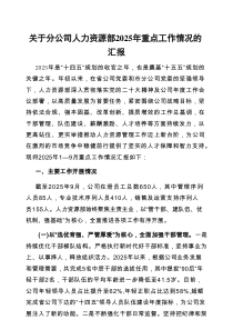 2025年重点工作情况汇报（分公司人力资源部）