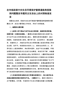 中央生态环境保护督察通报典型案例问题整改专题民主生活会班子对照检查发言材料（市委统战部）