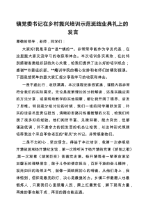 交流发言：乡村振兴培训示范班结业典礼（乡镇党委书记）