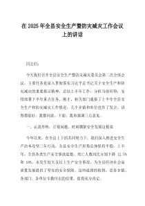 在2025年全县安全生产暨防灾减灾工作会议上的讲话