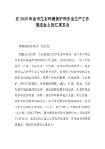 在2025年全市生态环境保护和安全生产工作推进会上的汇报发言