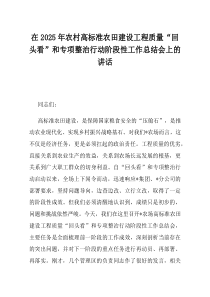 在2025年农村高标准农田建设工程质量回头看和专项整治行动阶段性工作总结会上的讲话